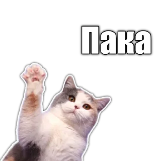 👋 emoji Cats police Telegram sticker 7 of 120