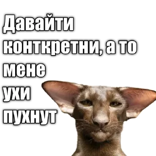 👂 emoji Cats police Telegram sticker 14 of 120
