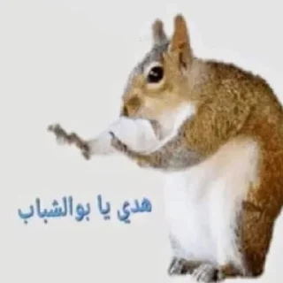 😊 emoji ما وراء الهراء Telegram sticker 14 of 97