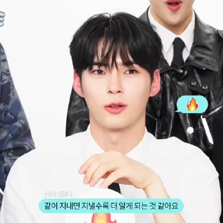 ❤️‍🩹 emoji ZB1 ELLE KOREA @MNETDNO Telegram sticker 18 of 45