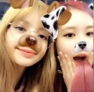 🐶 emoji -^CHAELISA^- * @blackpink_sticker * Telegram sticker 5 of 36