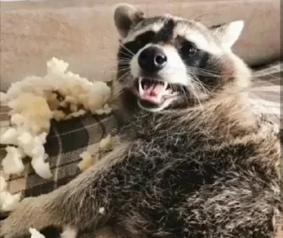 😃 emoji Racoon's return (Marco[Lw]) Telegram sticker 18 of 120
