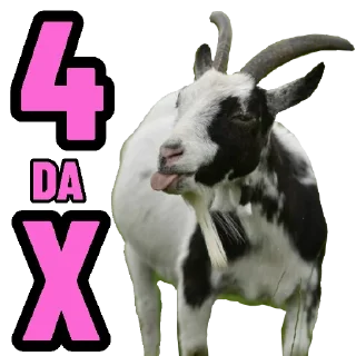 🐏 emoji Degen Protocol Meme Edition 2 Telegram sticker 3 of 48