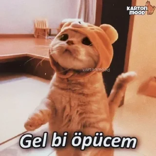 😘 emoji ☪️ TaneRR ☪️  (@tanercelikk0) Telegram sticker 7 of 41