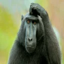 😕 emoji ورودی های 96_3 Telegram sticker 5 of 65