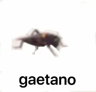™ emoji Funny names Telegram sticker 13 of 42