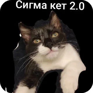 🐱 emoji Мистер бомбастик Telegram sticker 11 of 114