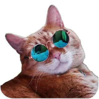 🥽 emoji Boris Telegram sticker 14 of 66