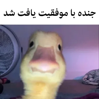 🐤 emoji @wicvio | اردک سخنگو Telegram sticker 23 of 38
