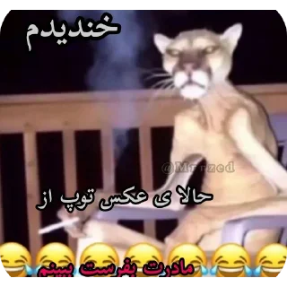 😂 emoji @Mrrzed | کون مادرت اسکی بری Telegram sticker 7 of 90