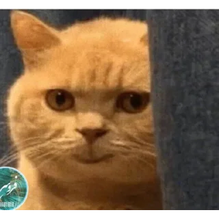 😂 emoji پک حق به مولا Telegram sticker 6 of 120