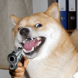 😧 emoji تفنگ به دست | amir_vader@ Telegram sticker 15 of 38