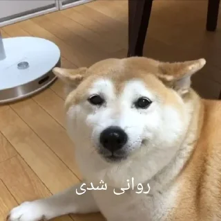 🦮 emoji 🦮Hapu ¦ @Mobo_Zoom_Channel Telegram sticker 22 of 53