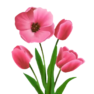 🌷 emoji @Sticker1_Gif  گل Telegram sticker 15 of 64
