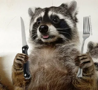 Sticker from Age of Racoons (pt3) @Marco9559
