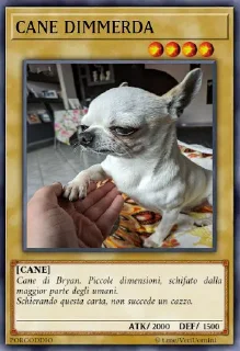 🐩 emoji Yu-Gi-porcoddiOh Telegram sticker 14 of 21
