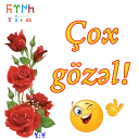 👌 emoji ShS-Az-Turk Telegram sticker 6 of 46