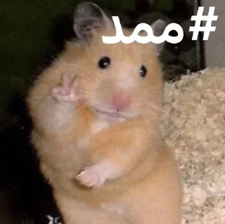 Sticker from ممد کوچولو ها🐹