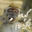 😞 emoji پکیج استیکر لکی شماره 1 Telegram sticker 14 of 106