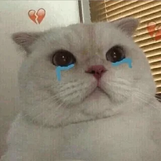 💔 emoji kitten💕 @nymphett Telegram sticker 21 of 68