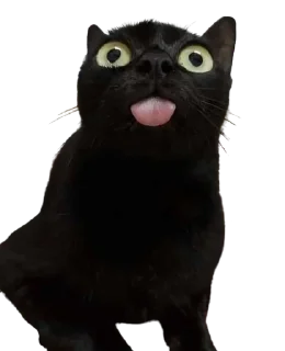 🌟 emoji Blep :p Telegram sticker 9 of 16
