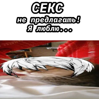 🐱 emoji Яналисы лучши Telegram sticker 14 of 80