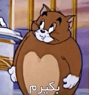 🐈 emoji آیت الله گوربه بهشتی Telegram sticker 8 of 29