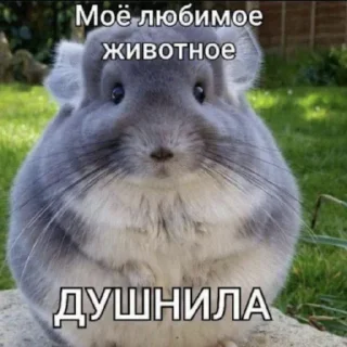 🪟 emoji ЧВК "Акацуки" by @dryaed Telegram sticker 12 of 26