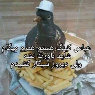 😎 emoji @hard_pics سطل آشغال کونی Telegram sticker 10 of 118