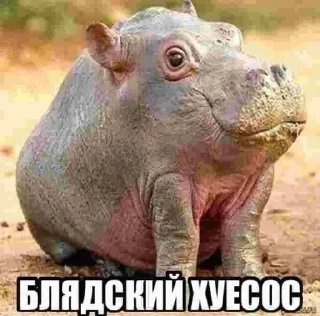 🌟 emoji шуруповёрт Telegram sticker 8 of 65