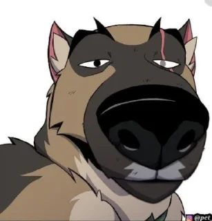 👃 emoji Procio2 - by @Proci_1 Telegram sticker 7 of 120