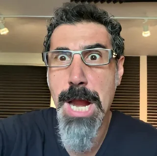 🥡 emoji System of a down🥰@system_of_a_down Telegram sticker 13 of 119