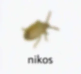 Sticker from Bugs