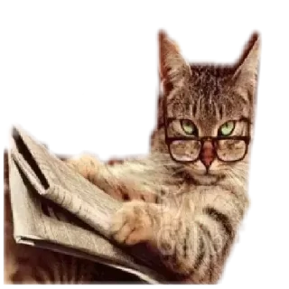 😒 emoji Mis Stickers Telegram sticker 9 of 14
