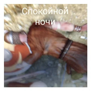 😴 emoji Моунт энд блейд Telegram sticker 6 of 12