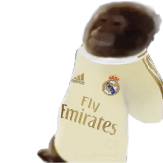 🇪🇸 emoji @SosBijan | میمون Telegram sticker 19 of 20