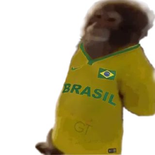 🇧🇷 emoji @SosBijan | میمون Telegram sticker 17 of 20