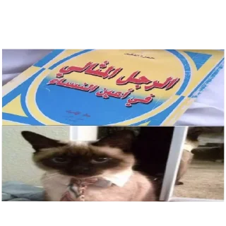 🐱 emoji Cat'sهواجيس @Touyx Telegram sticker 12 of 57