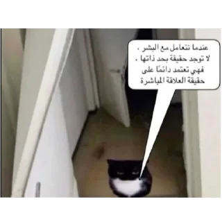 🐱 emoji Cat'sهواجيس @Touyx Telegram sticker 17 of 57