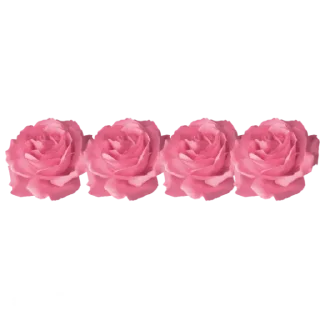 🌹 emoji ورود Telegram sticker 5 of 7
