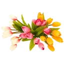 🌻 emoji @word16 ورود 🌹 Telegram sticker 18 of 116