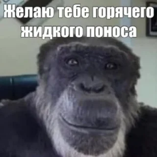 👿 emoji писяпопа Telegram sticker 13 of 67