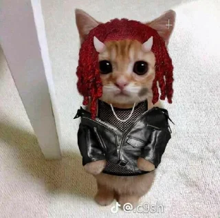 😼 emoji Zedx Telegram sticker 9 of 18