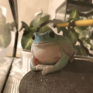 🐸 emoji -Frog🐸 [@BIueDaisy] Telegram sticker 21 of 50