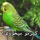 😑 emoji مرغ عشق های خارکصده Telegram sticker 5 of 92