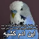 😑 emoji مرغ عشق های خارکصده Telegram sticker 14 of 92