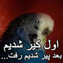 😑 emoji مرغ عشق های خارکصده Telegram sticker 20 of 92
