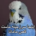 😑 emoji مرغ عشق های خارکصده Telegram sticker 16 of 92