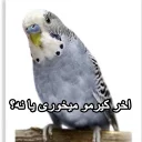 😑 emoji مرغ عشق های خارکصده Telegram sticker 8 of 92