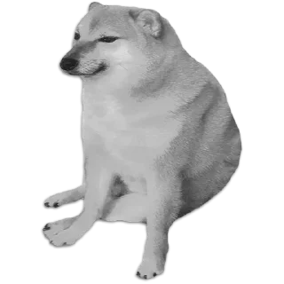 ☘ emoji Shiba inu | @M4eHDi Telegram sticker 23 of 34